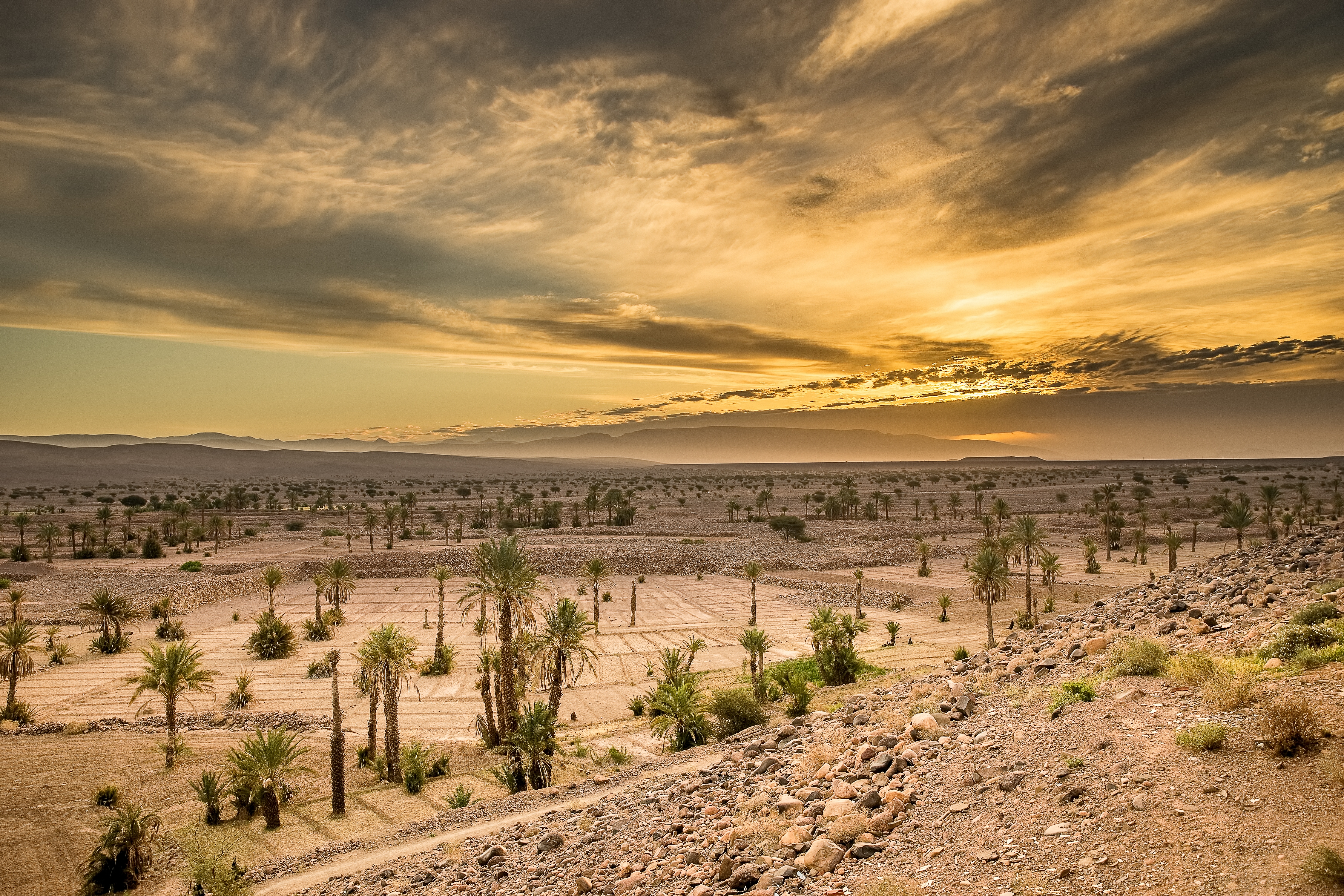 Desert Safari Mosmak