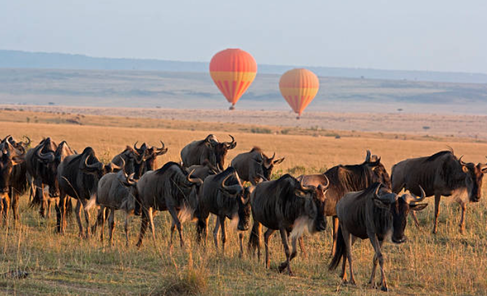 Masaai Mara Mosmak